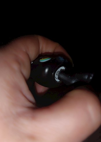 lps shorthair Cat miniş - Görsel 4