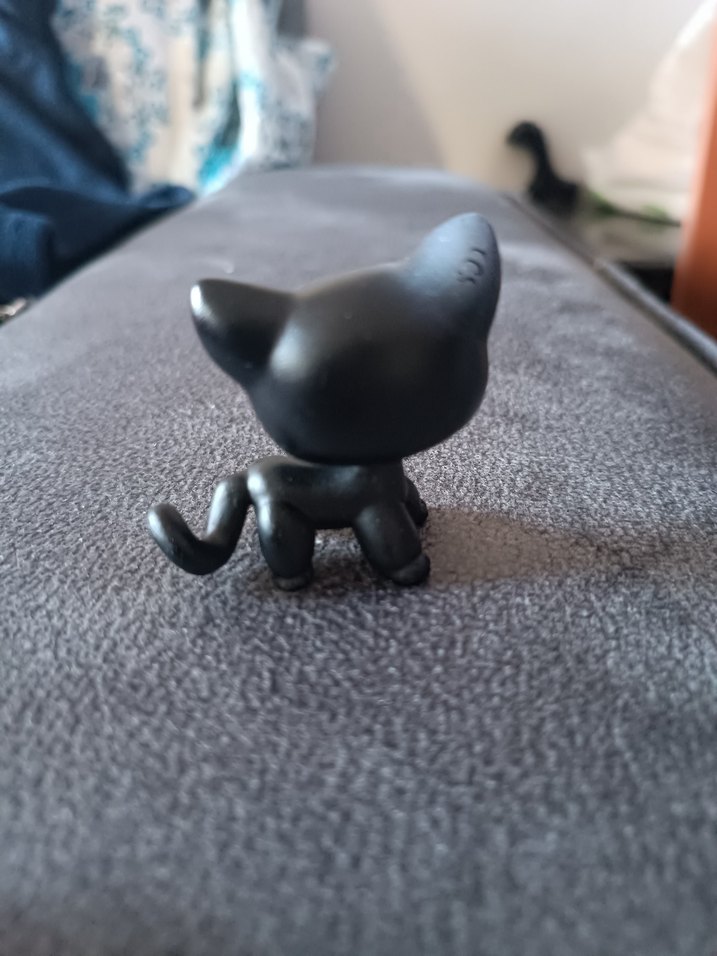 lps shorthair Cat miniş - Görsel 3