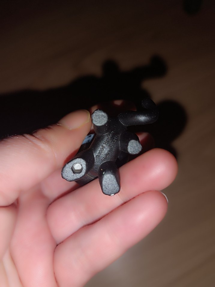 lps shorthair Cat miniş - Görsel 5