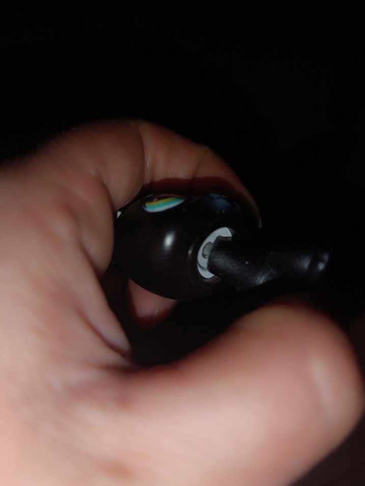 lps shorthair Cat miniş - Görsel 4