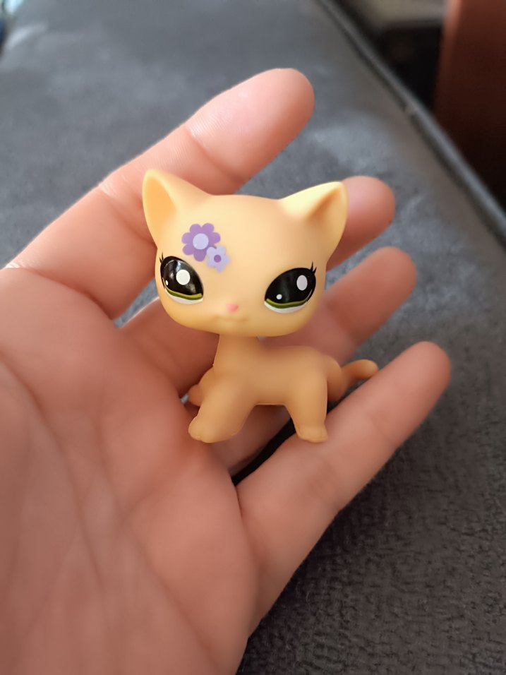 lps shorthair Cat miniş - Görsel 2