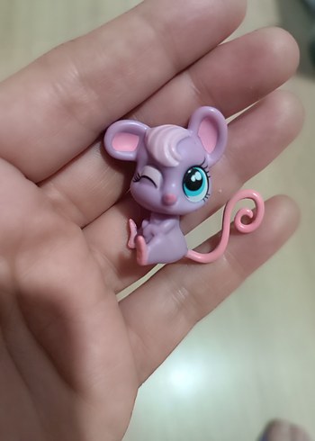 Mor Mini Fare miniş