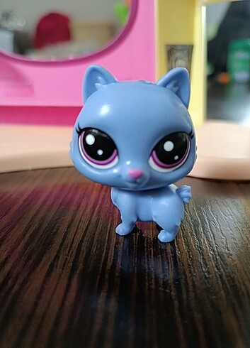 Beden Lps kısa kuyruk kedi miniş