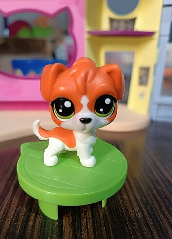Lps eski seri köpek 