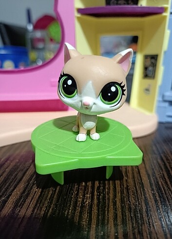 Beden Renk Lps kedi miniş