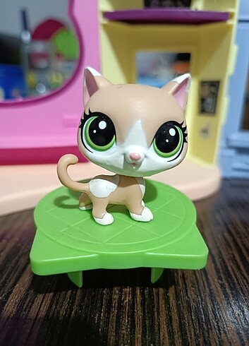 Lps kedi miniş 
