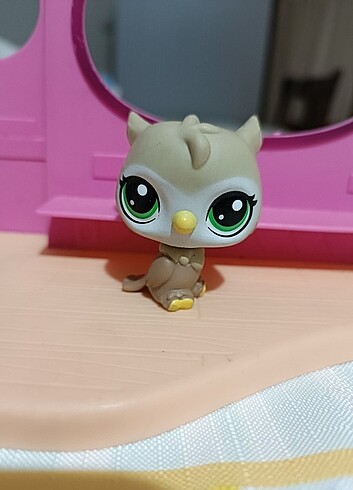 Lps baykuş miniş 