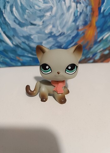 Lps shorthair cat miniş 