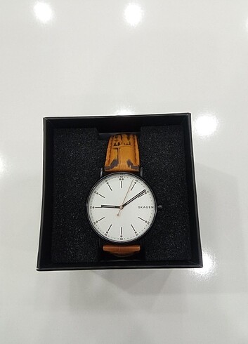 Skagen Erkek Saat