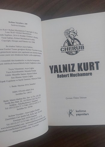 Yalnız Kürt - Görsel 3