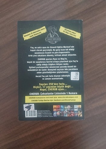 Yalnız Kürt - Görsel 2