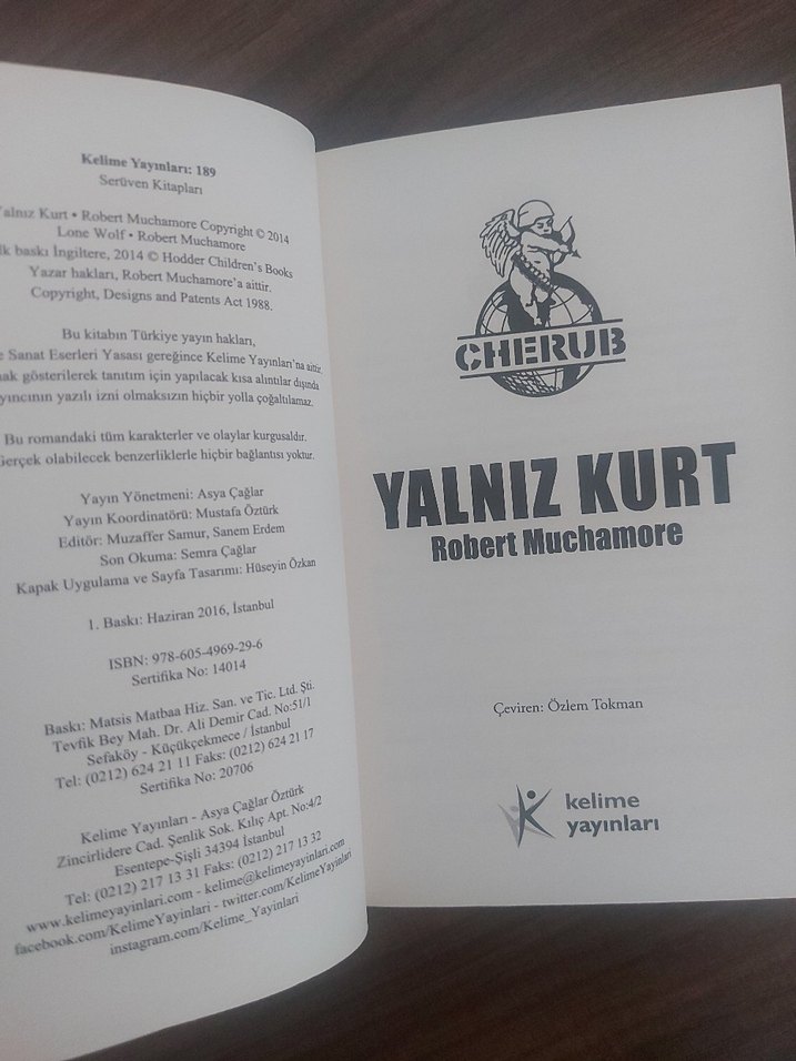 Yalnız Kürt - Görsel 3