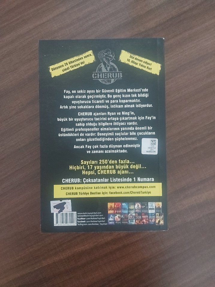 Yalnız Kürt - Görsel 2