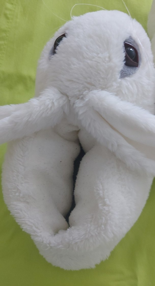 unisex Beyaz Tavşan Figürlü Sıcak Terlik - Görsel 3