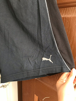 Puma Puma erkek şort