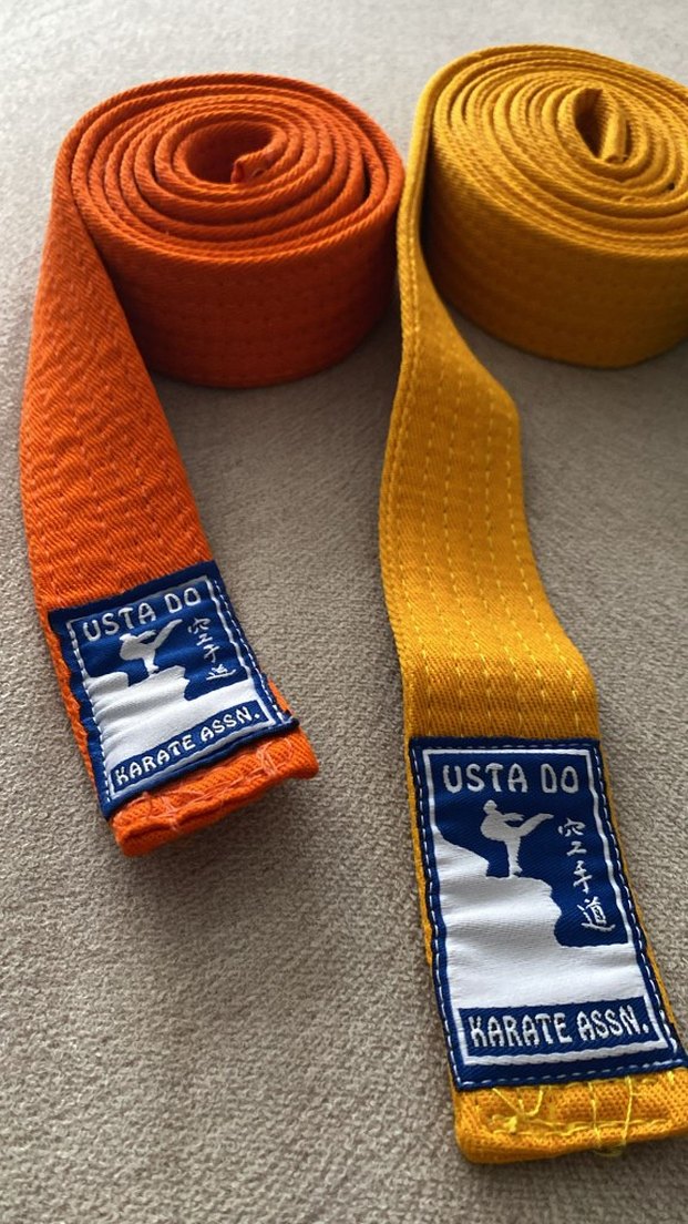 Renkli  karate kuşakları - Görsel 3