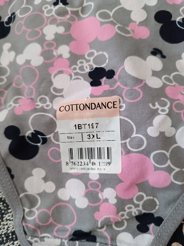 Çok Renkli Baskılı Kadın Külot Seti 3×l - Görsel 4