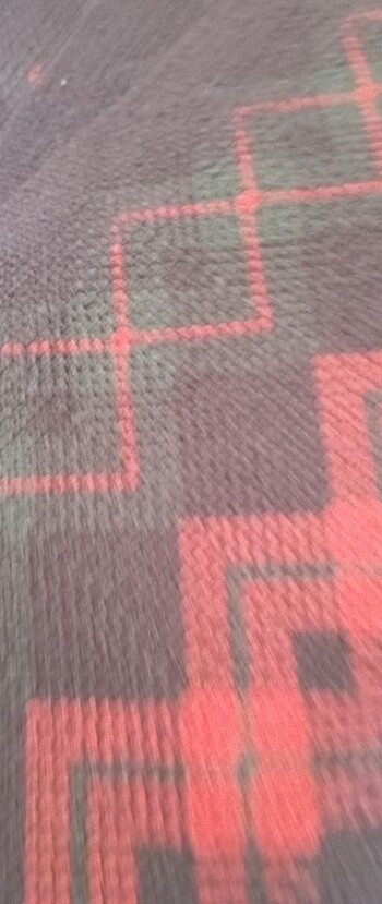 Erkek atkı - Görsel 3