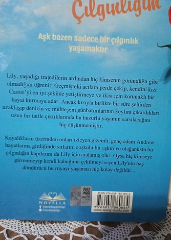 En Büyük Çılgınlığım - Iris Johansen