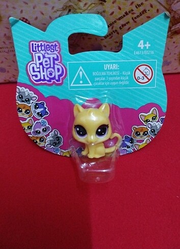  Beden Renk Lps ikili set