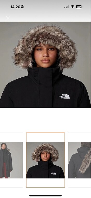 North Face The north face