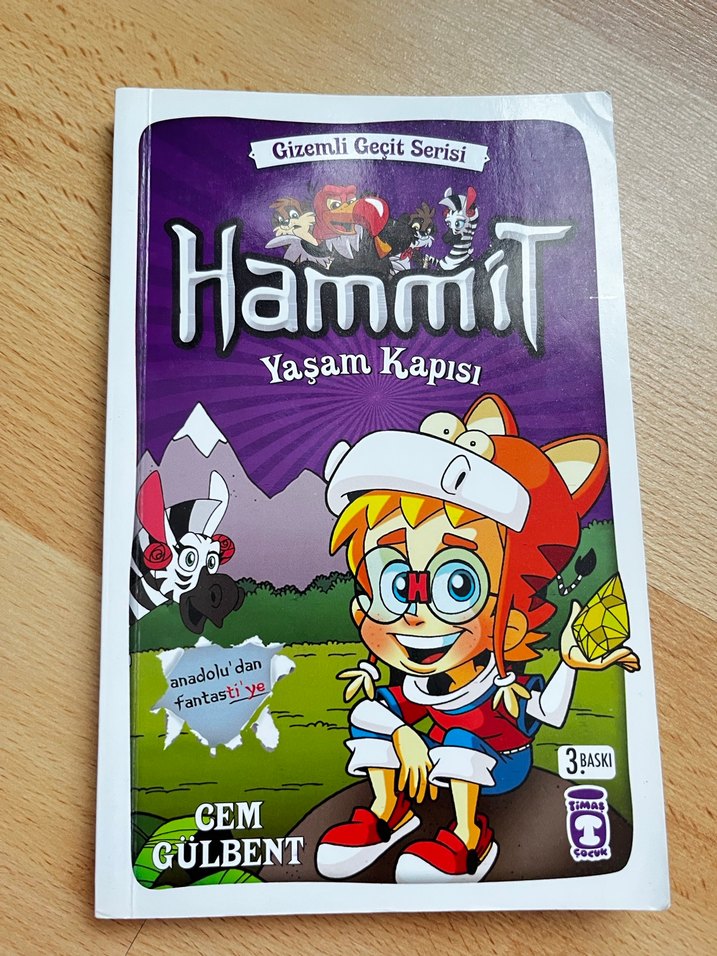 HammiT Çocuk Kitapları Serisi - Görsel 5
