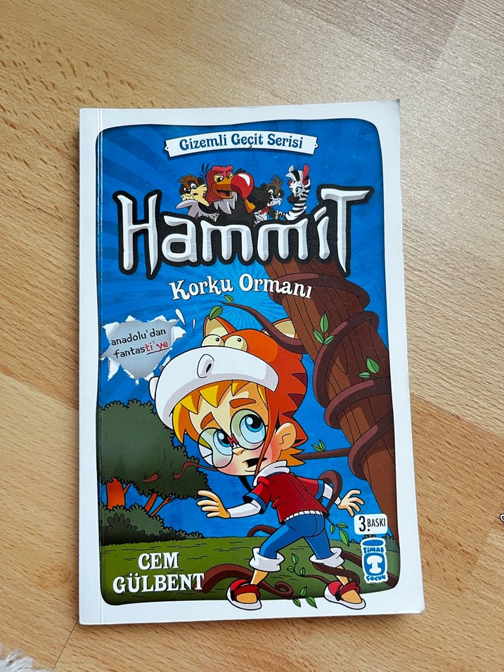 HammiT Çocuk Kitapları Serisi - Görsel 4