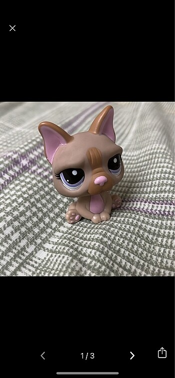 LPS bulldog miniş