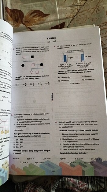  Beden Supara test