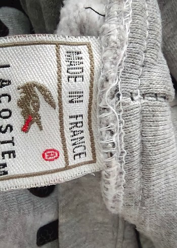 Gri Lacoste Erkek Kapüşonlu Sweatshirt - Görsel 9