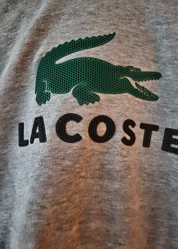 Gri Lacoste Erkek Kapüşonlu Sweatshirt - Görsel 4