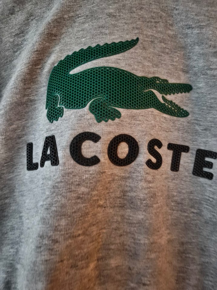 Gri Lacoste Erkek Kapüşonlu Sweatshirt - Görsel 4