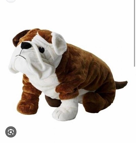 Ikea İkea köpek
