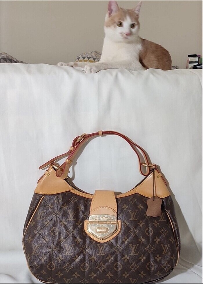 Louis vuitton kol çantası - Görsel 5