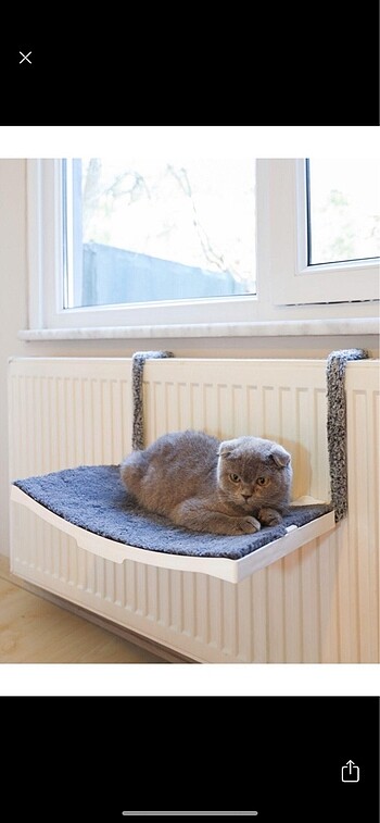 Kedi Petek Kalorifer Radyatör Yatağı ...
