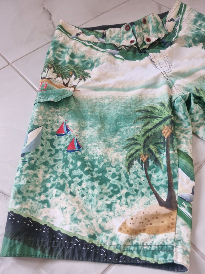 Renkli Baskılı Erkek Mini Şort Deniz Şortu - Görsel 2