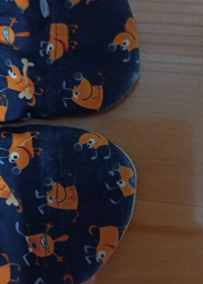 Deniz ayakkabisi - Görsel 2