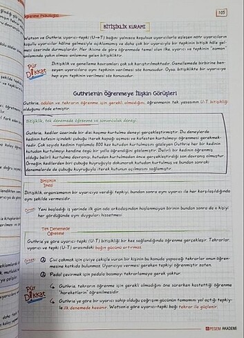  Beden Renk Pegem eğitim bilimleri
