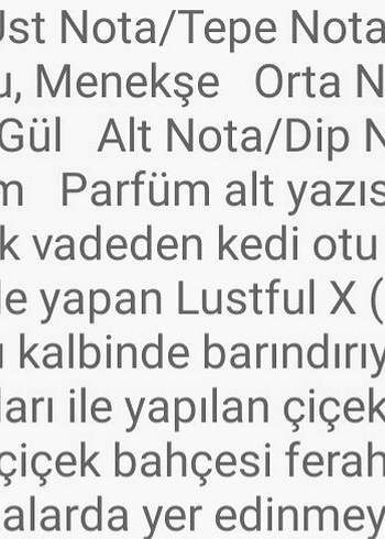ORJINAL SHAIK PARFUM 50 ML - Görsel 12
