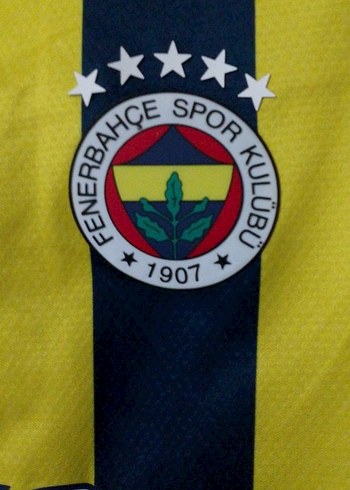 Sarı Lacivert Orjlal puma Forma
cubuklu forması 23/24yılk s m uy - Görsel 8