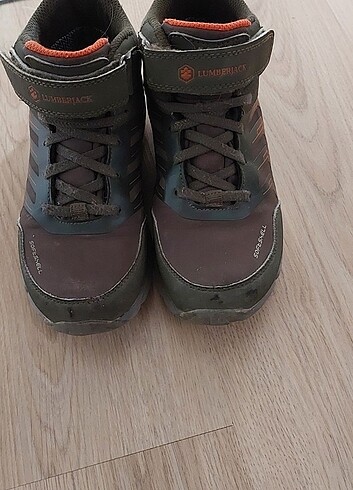 31 Beden Lumberjack outdoor bot