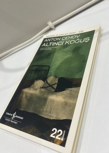 Beden Anton Çehov - Altıncı Koğuş Romanı
