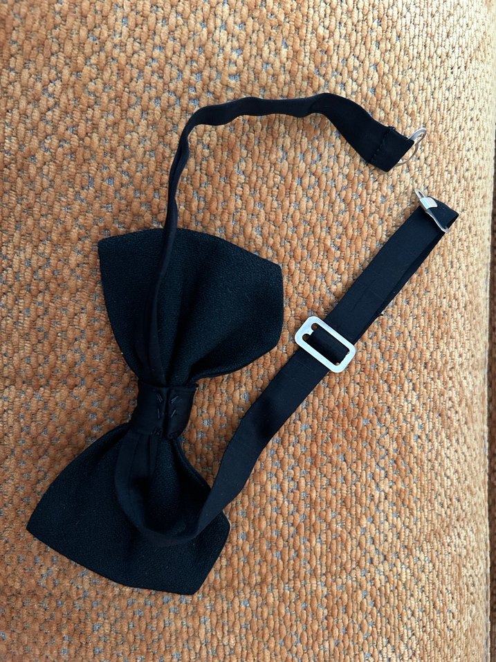 Erkek damatlık papyon - Görsel 2