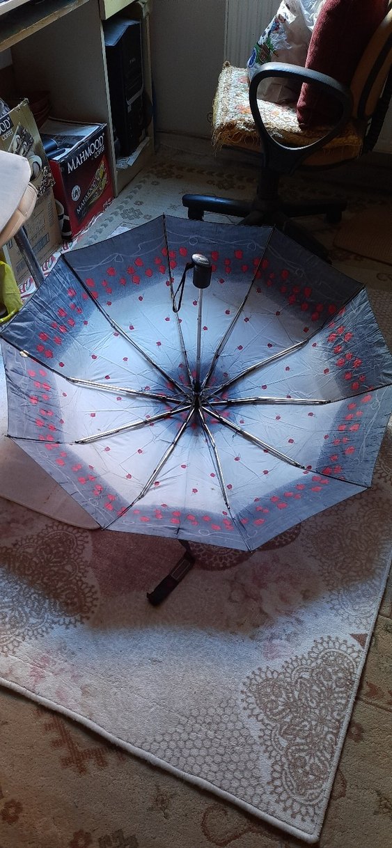 Şeffaf Gri Kırmızı Gül Desenli Kadın Şemsiye - Görsel 3