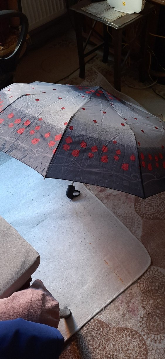 Şeffaf Gri Kırmızı Gül Desenli Kadın Şemsiye - Görsel 2
