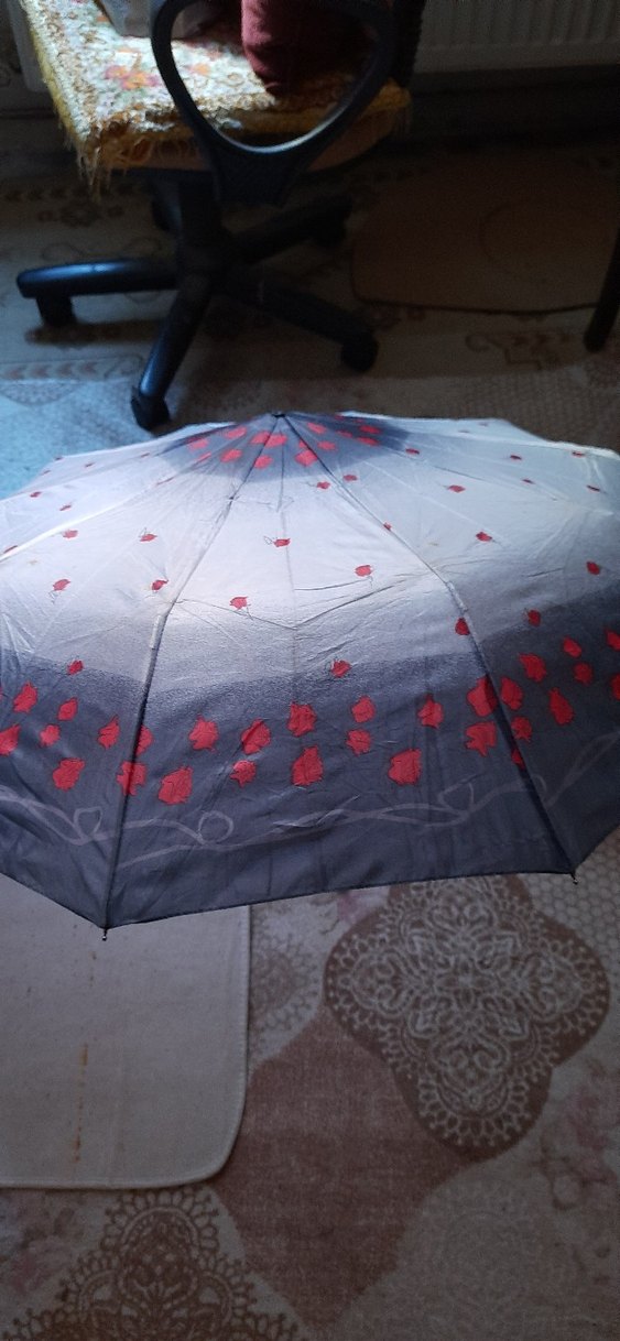 Şeffaf Gri Kırmızı Gül Desenli Kadın Şemsiye - Görsel 5
