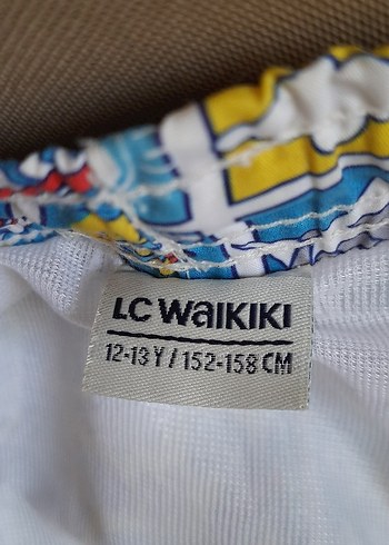 Çok Renkli Baskılı Erkek Çocuk Mayo Şortu - Görsel 3