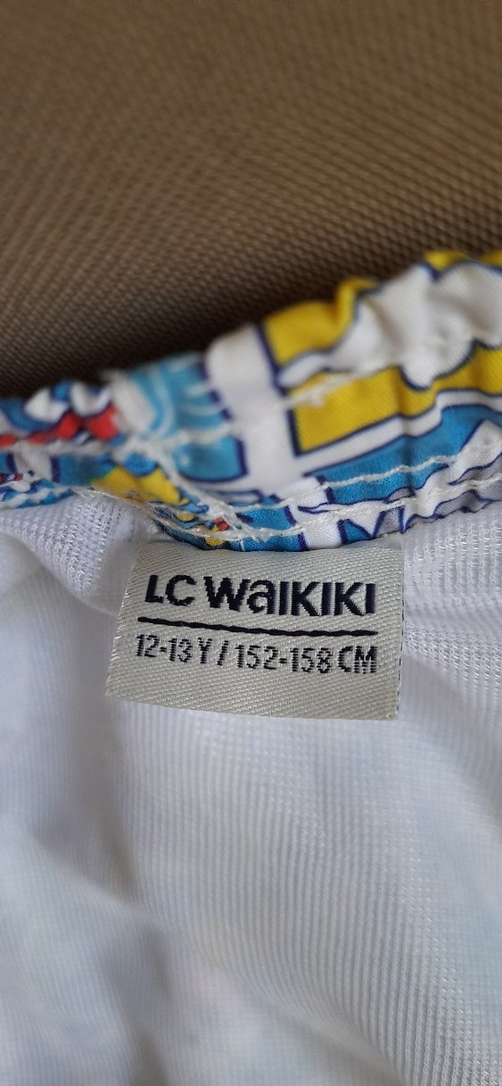 Çok Renkli Baskılı Erkek Çocuk Mayo Şortu - Görsel 3