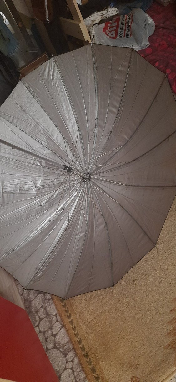 Gri Pilili dev erkek Şemsiye - Görsel 3