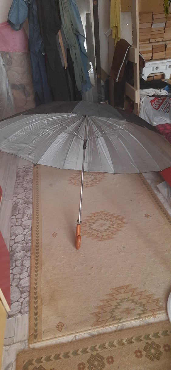 Gri Pilili dev erkek Şemsiye - Görsel 2